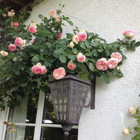 Willa Le Petit Val Rose Villennes-sur-Seine Zewnętrze zdjęcie