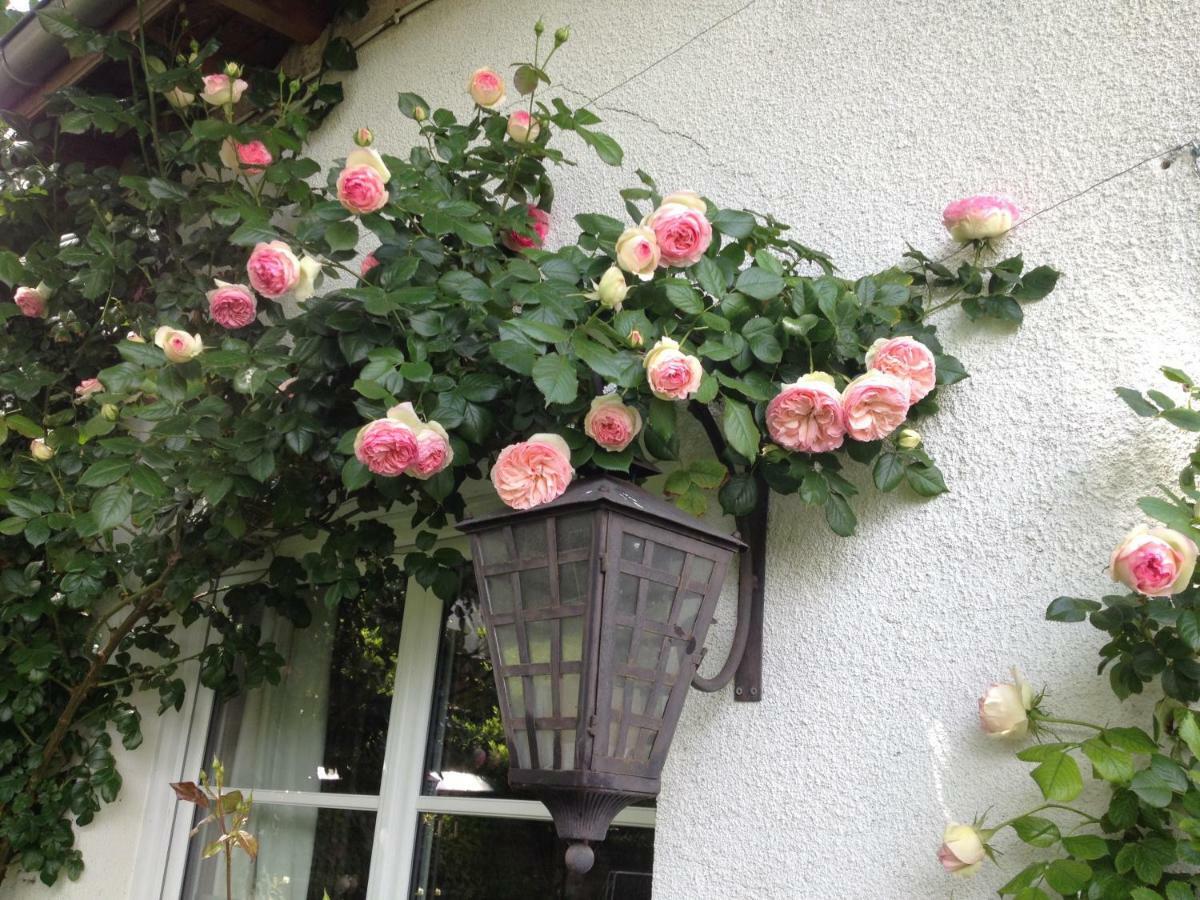 Willa Le Petit Val Rose Villennes-sur-Seine Zewnętrze zdjęcie